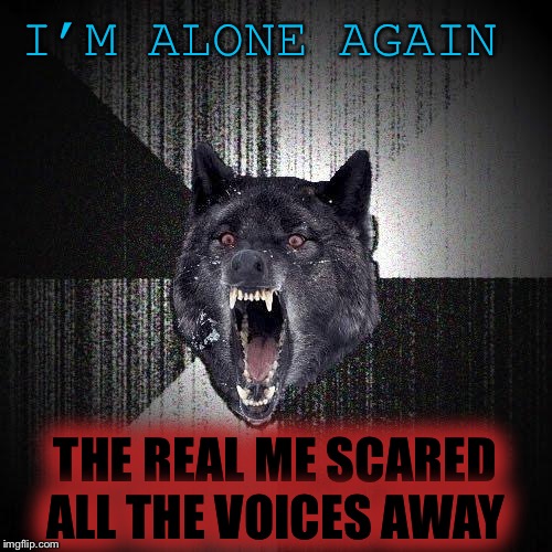 Insanity Wolf Meme | I’M ALONE AGAIN THE REAL ME SCARED ALL THE VOICES AWAY | image tagged in memes,insanity wolf | made w/ Imgflip meme maker