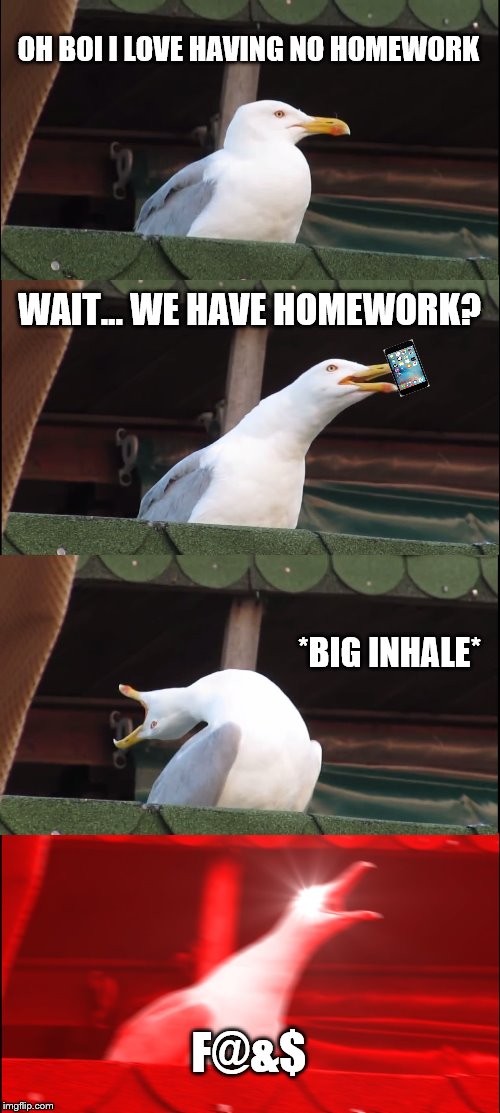 Inhaling Seagull Meme | OH BOI I LOVE HAVING NO HOMEWORK; WAIT... WE HAVE HOMEWORK? *BIG INHALE*; F@&$ | image tagged in memes,inhaling seagull | made w/ Imgflip meme maker