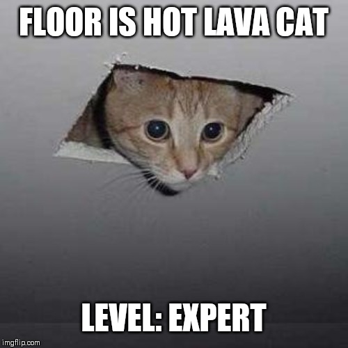 Ceiling Cat Meme | FLOOR IS HOT LAVA CAT; LEVEL: EXPERT | image tagged in memes,ceiling cat | made w/ Imgflip meme maker