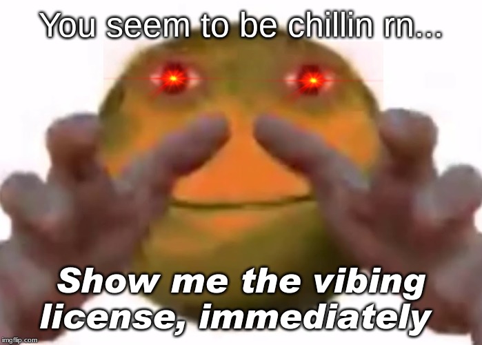 Vibe Check | You seem to be chillin rn... Show me the vibing license, immediately | image tagged in vibe check | made w/ Imgflip meme maker