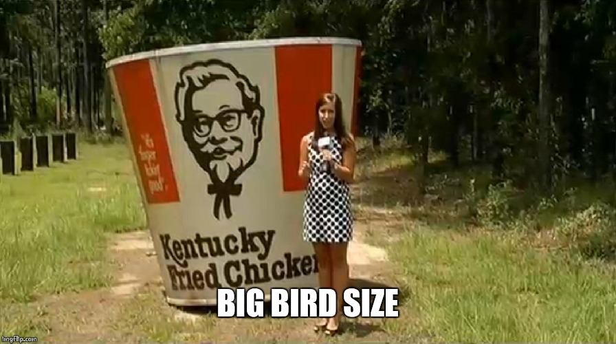 BIG BIRD SIZE | made w/ Imgflip meme maker