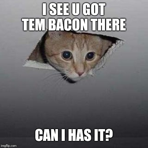 Ceiling Cat | I SEE U GOT TEM BACON THERE; CAN I HAS IT? | image tagged in memes,ceiling cat | made w/ Imgflip meme maker