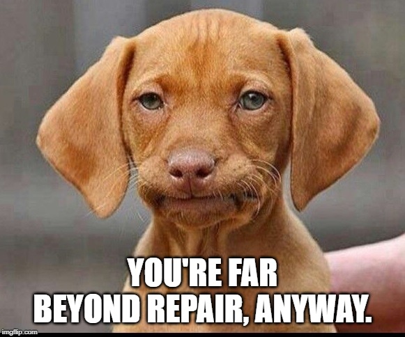 Skeptical Dog | YOU'RE FAR BEYOND REPAIR, ANYWAY. | image tagged in skeptical dog | made w/ Imgflip meme maker