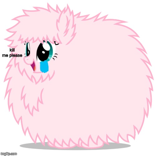 NOOO NOT FLOOFY | kill me please | image tagged in fluffle puff,memes,suicide,funny,funny memes,funny meme | made w/ Imgflip meme maker