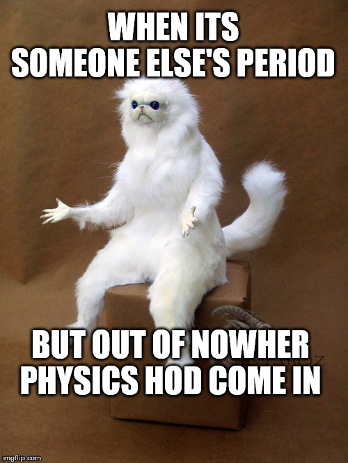 Persian Cat Room Guardian Single Meme | WHEN ITS SOMEONE ELSE'S PERIOD; BUT OUT OF NOWHER PHYSICS HOD COME IN | image tagged in memes,persian cat room guardian single | made w/ Imgflip meme maker