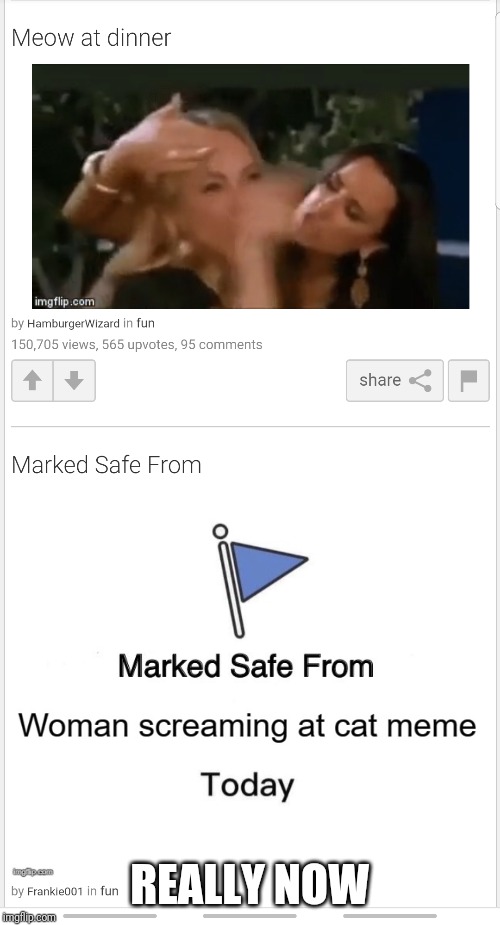 Ah, yes, safe | REALLY NOW | image tagged in irony | made w/ Imgflip meme maker
