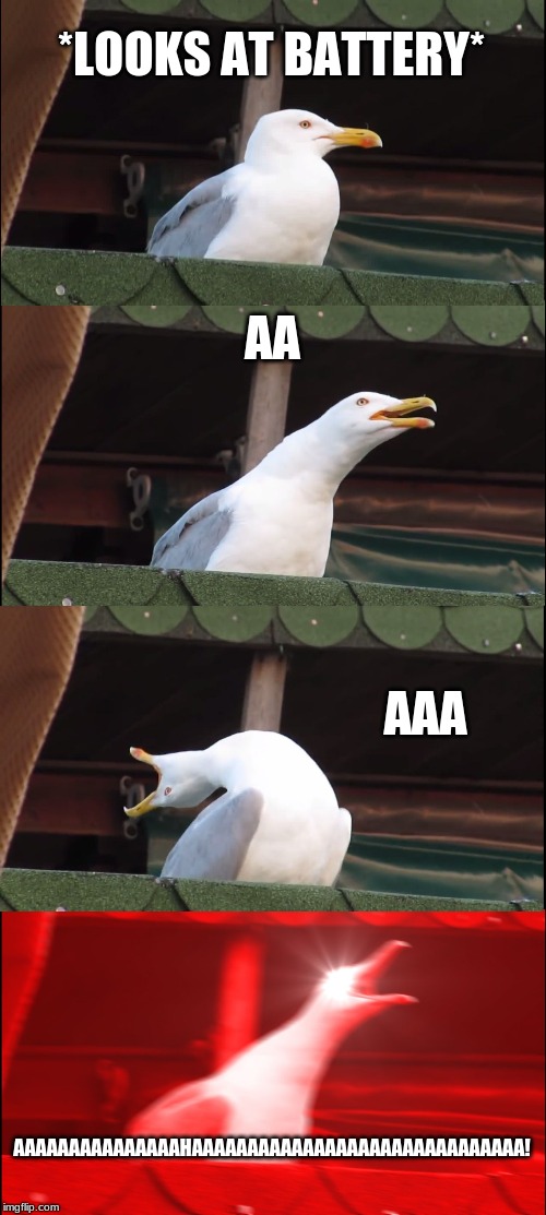 Inhaling Seagull | *LOOKS AT BATTERY*; AA; AAA; AAAAAAAAAAAAAAAHAAAAAAAAAAAAAAAAAAAAAAAAAAAAAA! | image tagged in memes,inhaling seagull | made w/ Imgflip meme maker