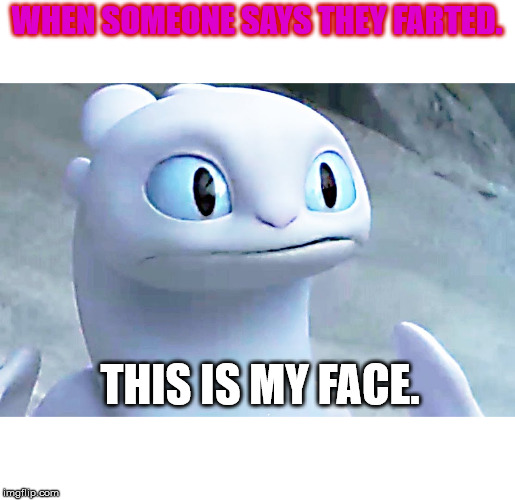 Light fury | WHEN SOMEONE SAYS THEY FARTED. THIS IS MY FACE. | image tagged in light fury | made w/ Imgflip meme maker