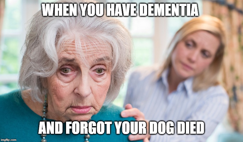Dementia 2 | WHEN YOU HAVE DEMENTIA; AND FORGOT YOUR DOG DIED | image tagged in funny,dementia | made w/ Imgflip meme maker