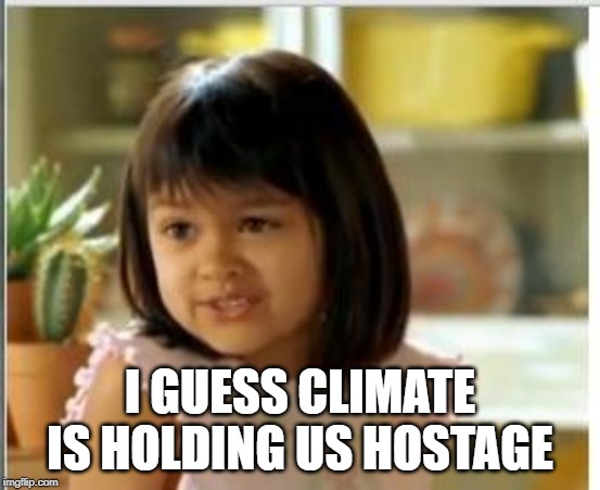 Why not both | I GUESS CLIMATE IS HOLDING US HOSTAGE | image tagged in why not both | made w/ Imgflip meme maker