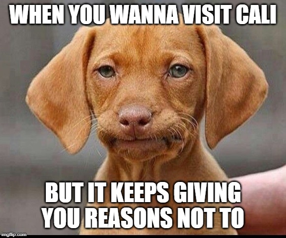 Skeptical Dog | WHEN YOU WANNA VISIT CALI BUT IT KEEPS GIVING YOU REASONS NOT TO | image tagged in skeptical dog | made w/ Imgflip meme maker