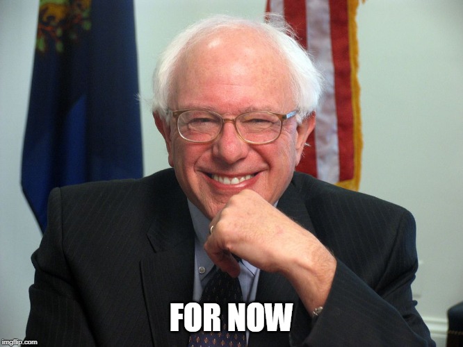 Vote Bernie Sanders | FOR NOW | image tagged in vote bernie sanders | made w/ Imgflip meme maker