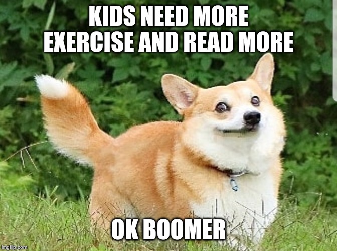 OK Boomer Corgi | KIDS NEED MORE EXERCISE AND READ MORE; OK BOOMER | image tagged in ok boomer corgi | made w/ Imgflip meme maker