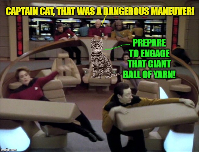 Star Cat | CAPTAIN CAT, THAT WAS A DANGEROUS MANEUVER! PREPARE TO ENGAGE THAT GIANT BALL OF YARN! | image tagged in enterprise bridge shaking,cat,funny cat memes,memes | made w/ Imgflip meme maker