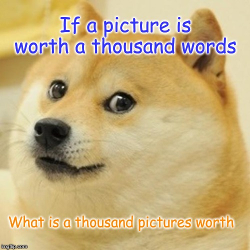 Doge | If a picture is worth a thousand words; What is a thousand pictures worth | image tagged in memes,doge | made w/ Imgflip meme maker