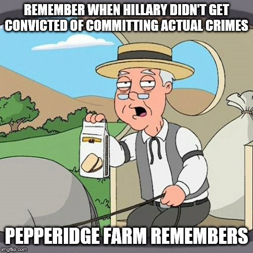 Pepperidge Farm Remembers | REMEMBER WHEN HILLARY DIDN'T GET CONVICTED OF COMMITTING ACTUAL CRIMES; PEPPERIDGE FARM REMEMBERS | image tagged in memes,pepperidge farm remembers | made w/ Imgflip meme maker