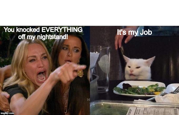 Woman Yelling At Cat | You knocked EVERYTHING off my nightstand! It's my Job | image tagged in memes,woman yelling at cat | made w/ Imgflip meme maker