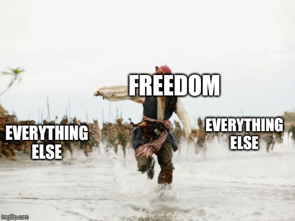 Jack Sparrow Being Chased | FREEDOM; EVERYTHING ELSE; EVERYTHING ELSE | image tagged in memes,jack sparrow being chased | made w/ Imgflip meme maker