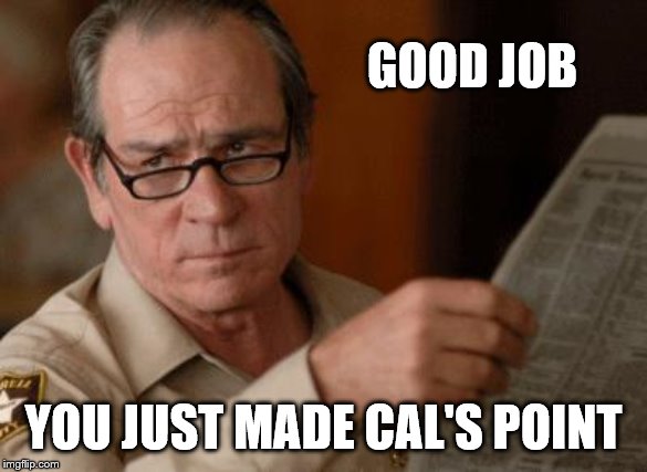 Tommy Lee Jones | GOOD JOB YOU JUST MADE CAL'S POINT | image tagged in tommy lee jones | made w/ Imgflip meme maker