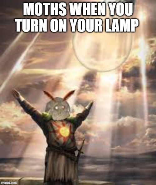 MOTHS WHEN YOU TURN ON YOUR LAMP | image tagged in meme | made w/ Imgflip meme maker