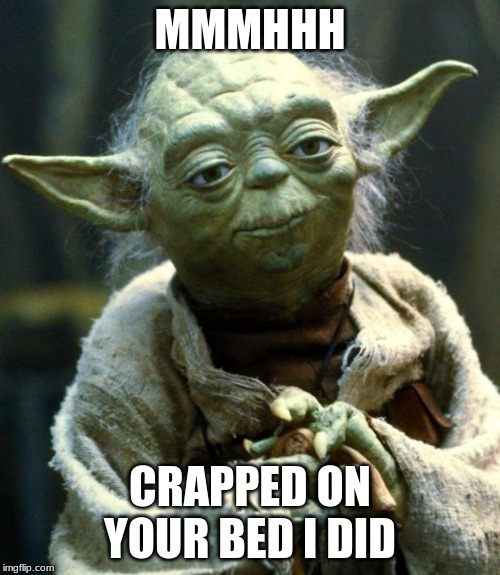Star Wars Yoda Meme | MMMHHH; CRAPPED ON YOUR BED I DID | image tagged in memes,star wars yoda | made w/ Imgflip meme maker