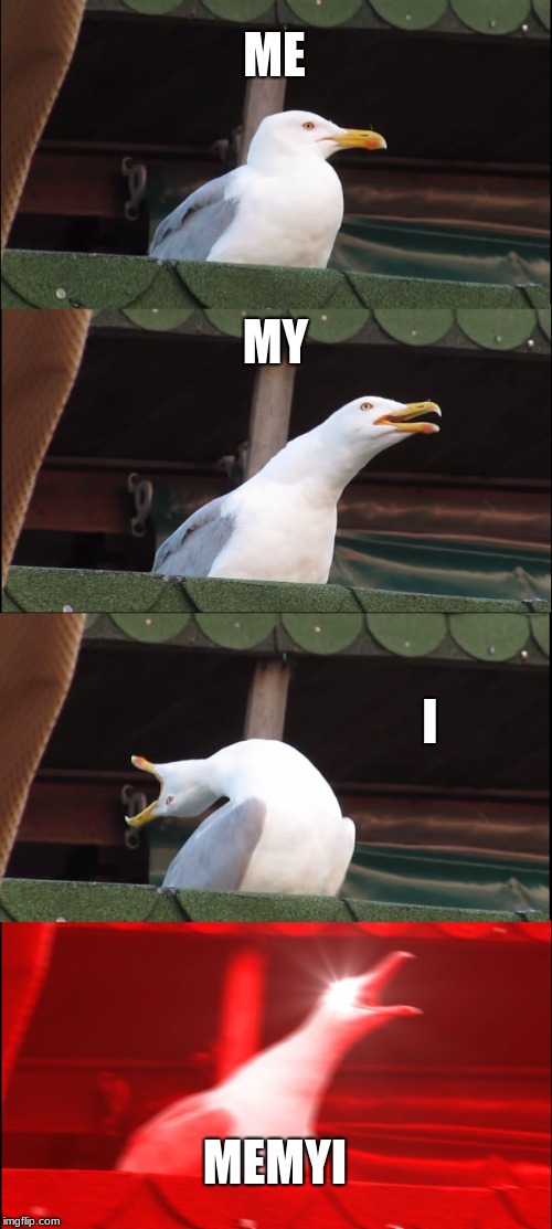 Inhaling Seagull | ME; MY; I; MEMYI | image tagged in memes,inhaling seagull | made w/ Imgflip meme maker