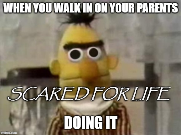 bert muppet what did i just see | WHEN YOU WALK IN ON YOUR PARENTS; SCARED FOR LIFE; DOING IT | image tagged in bert muppet what did i just see | made w/ Imgflip meme maker