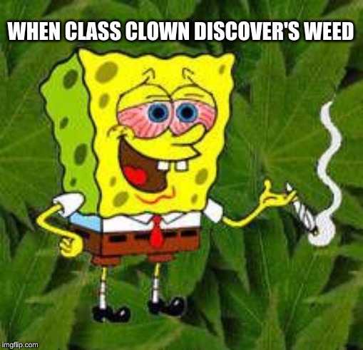 Weed | WHEN CLASS CLOWN DISCOVER'S WEED | image tagged in weed | made w/ Imgflip meme maker