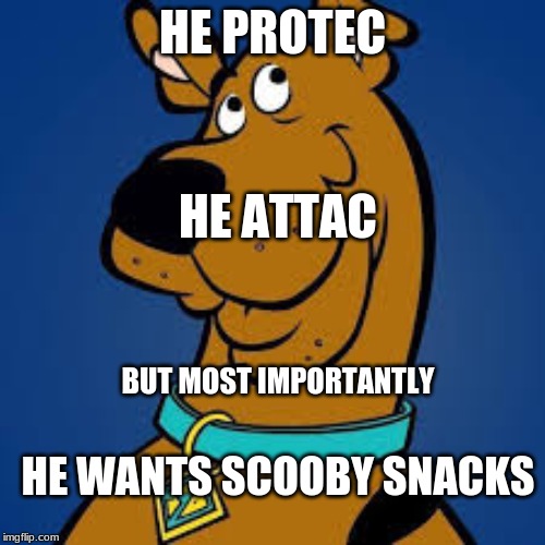 HE PROTEC; HE ATTAC; BUT MOST IMPORTANTLY; HE WANTS SCOOBY SNACKS | image tagged in doggo,scooby doo | made w/ Imgflip meme maker