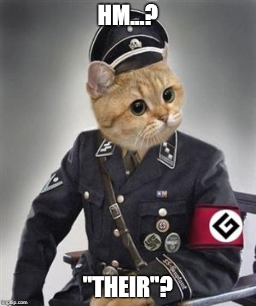 Grammar Nazi Cat | HM...? "THEIR"? | image tagged in grammar nazi cat | made w/ Imgflip meme maker
