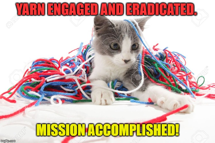 YARN ENGAGED AND ERADICATED. MISSION ACCOMPLISHED! | made w/ Imgflip meme maker