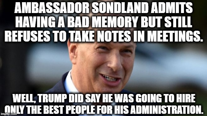 Only The Best People | AMBASSADOR SONDLAND ADMITS HAVING A BAD MEMORY BUT STILL REFUSES TO TAKE NOTES IN MEETINGS. WELL, TRUMP DID SAY HE WAS GOING TO HIRE ONLY THE BEST PEOPLE FOR HIS ADMINISTRATION. | image tagged in sondland,donald trump,moron,treason,traitor,impeach trump | made w/ Imgflip meme maker