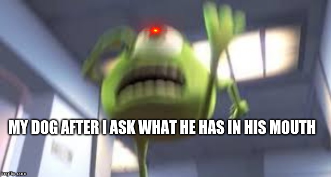 MY DOG AFTER I ASK WHAT HE HAS IN HIS MOUTH | image tagged in mike wazowski | made w/ Imgflip meme maker