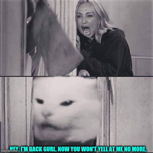 And the cat is back. |  HEY. I'M BACK GURL. NOW YOU WON'T YELL AT ME NO MORE. | image tagged in woman yells are shining,woman yelling at cat,revenge,cats,the shining | made w/ Imgflip meme maker