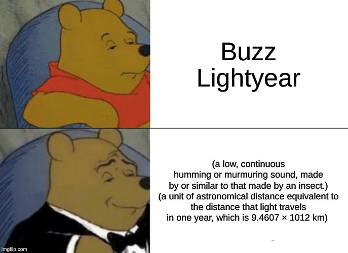 Tuxedo Winnie The Pooh Meme | Buzz Lightyear; (a low, continuous humming or murmuring sound, made by or similar to that made by an insect.)

(a unit of astronomical distance equivalent to the distance that light travels in one year, which is 9.4607 × 1012 km) | image tagged in memes,tuxedo winnie the pooh | made w/ Imgflip meme maker