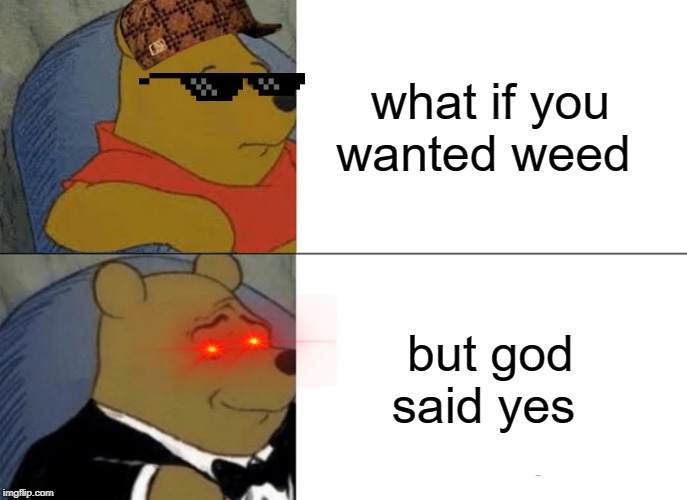Tuxedo Winnie The Pooh | what if you wanted weed; but God said yes | image tagged in memes,tuxedo winnie the pooh | made w/ Imgflip meme maker
