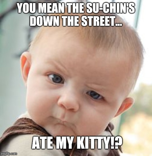 Skeptical Baby | YOU MEAN THE SU-CHIN'S
DOWN THE STREET... ATE MY KITTY!? | image tagged in memes,skeptical baby | made w/ Imgflip meme maker