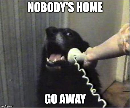 Yes this is dog | NOBODY'S HOME; GO AWAY | image tagged in yes this is dog | made w/ Imgflip meme maker