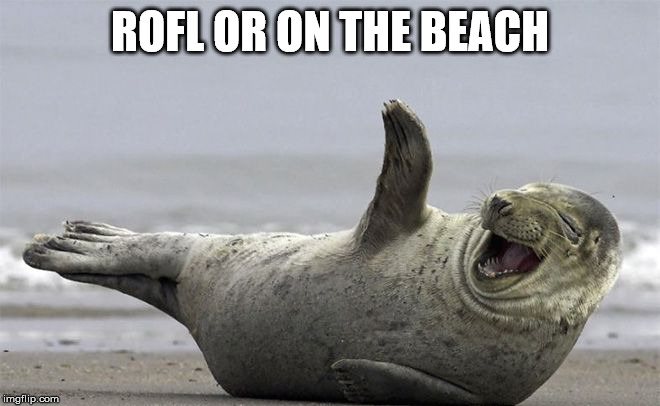 ROFL | ROFL OR ON THE BEACH | image tagged in rofl | made w/ Imgflip meme maker