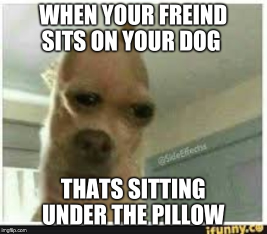 WHEN YOUR FREIND SITS ON YOUR DOG; THATS SITTING UNDER THE PILLOW | made w/ Imgflip meme maker