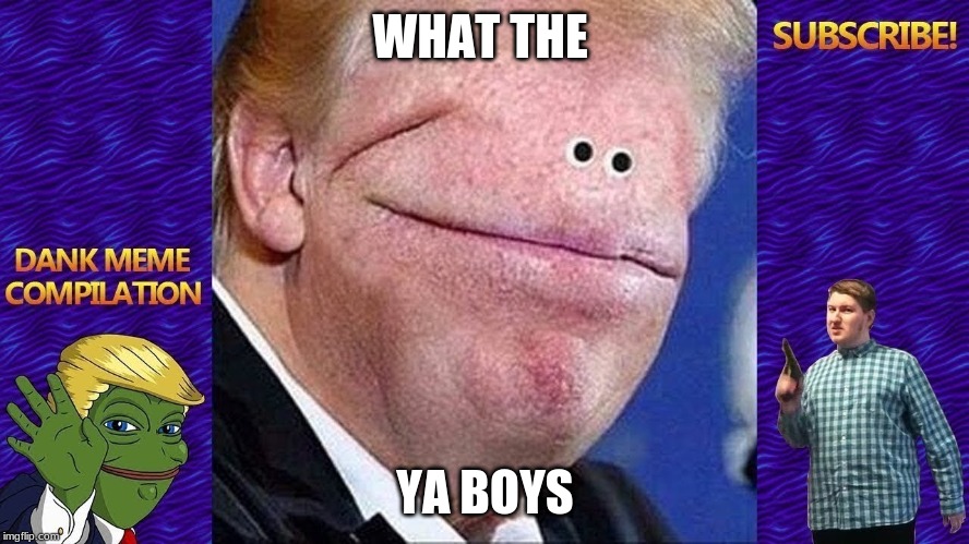 just why | WHAT THE; YA BOYS | image tagged in donald trump,funny memes | made w/ Imgflip meme maker