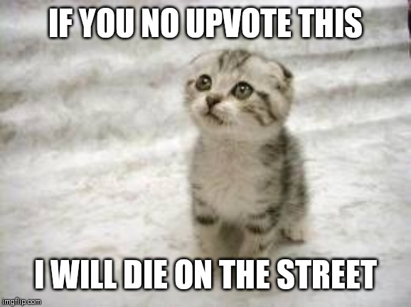 Please upvote! It's for the cat! | IF YOU NO UPVOTE THIS; I WILL DIE ON THE STREET | image tagged in memes,sad cat,begging for upvotes,FreeKarma4U | made w/ Imgflip meme maker