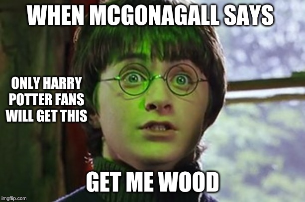 scared potter | WHEN MCGONAGALL SAYS; ONLY HARRY POTTER FANS WILL GET THIS; GET ME WOOD | image tagged in scared potter | made w/ Imgflip meme maker