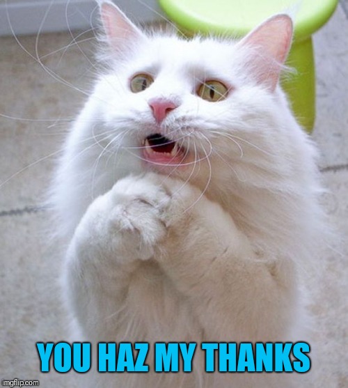 I Can Haz | YOU HAZ MY THANKS | image tagged in i can haz | made w/ Imgflip meme maker