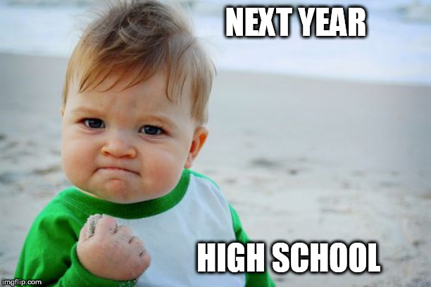 Success Kid Original Meme | NEXT YEAR HIGH SCHOOL | image tagged in memes,success kid original | made w/ Imgflip meme maker