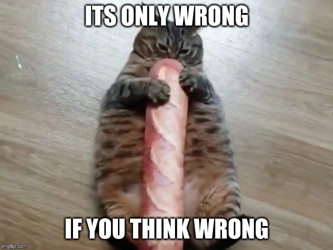 fat cat | ITS ONLY WRONG; IF YOU THINK WRONG | image tagged in fat cat | made w/ Imgflip meme maker