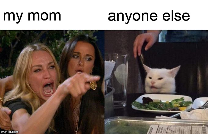 Woman Yelling At Cat Meme | my mom anyone else | image tagged in memes,woman yelling at cat | made w/ Imgflip meme maker