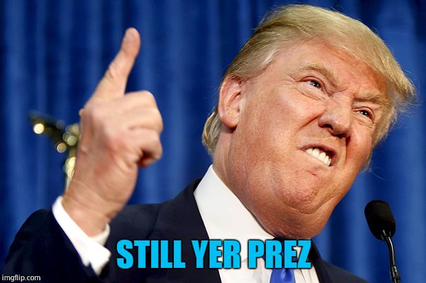 Donald Trump | STILL YER PREZ | image tagged in donald trump | made w/ Imgflip meme maker