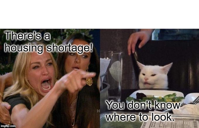 Woman Yelling At Cat Meme | There's a housing shortage! You don't know where to look. | image tagged in memes,woman yelling at cat | made w/ Imgflip meme maker