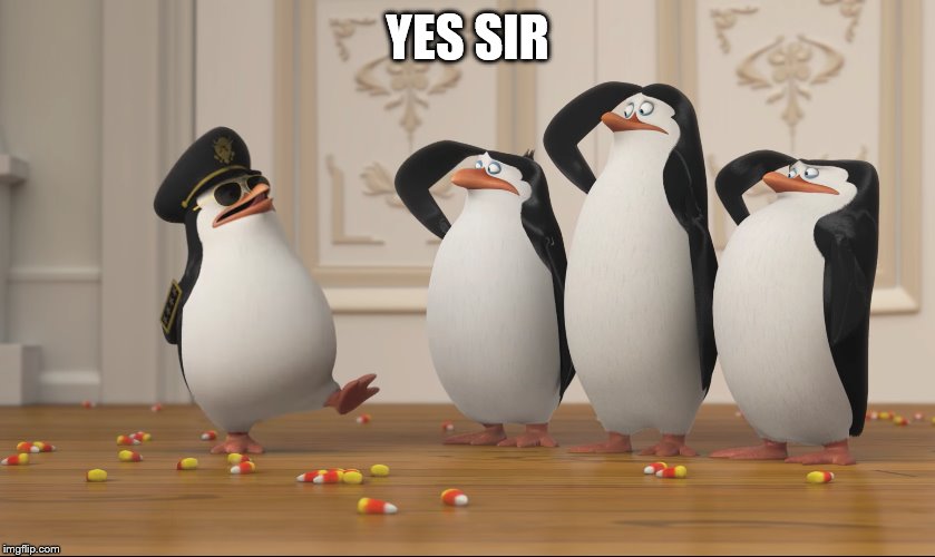 Saluting skipper | YES SIR | image tagged in saluting skipper | made w/ Imgflip meme maker